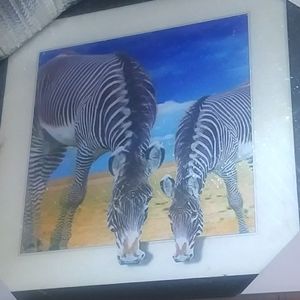 Framed artwork brand new never been used